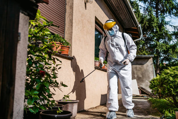 Reliable East Farmingdale, NY Pest Control Solutions