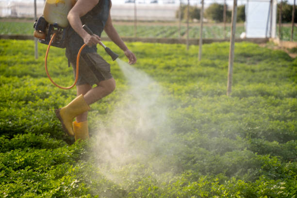 Best Exterminator Services  in East Farmingdale, NY